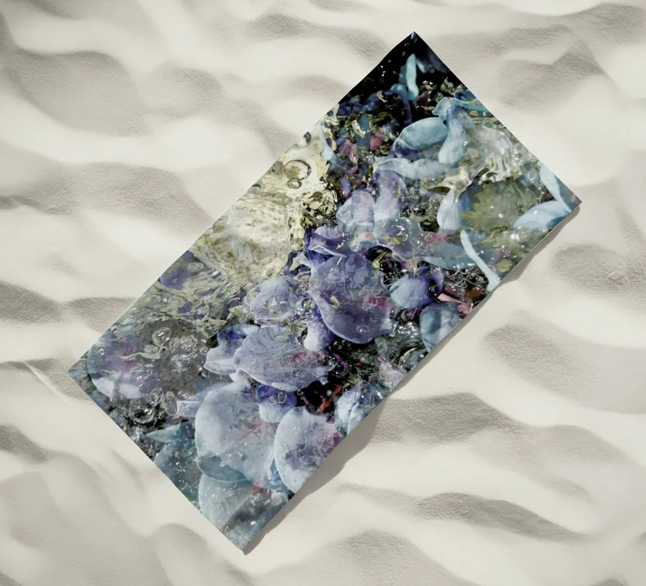 Serendipity telo mare da Angelo Cerantola