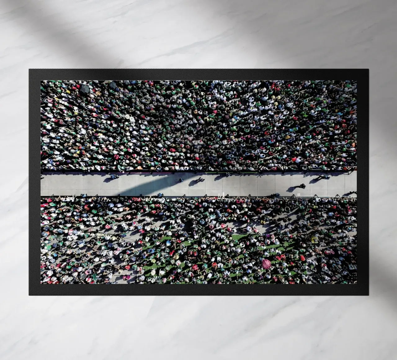 Looking Forward zerbino da ROBERTO H