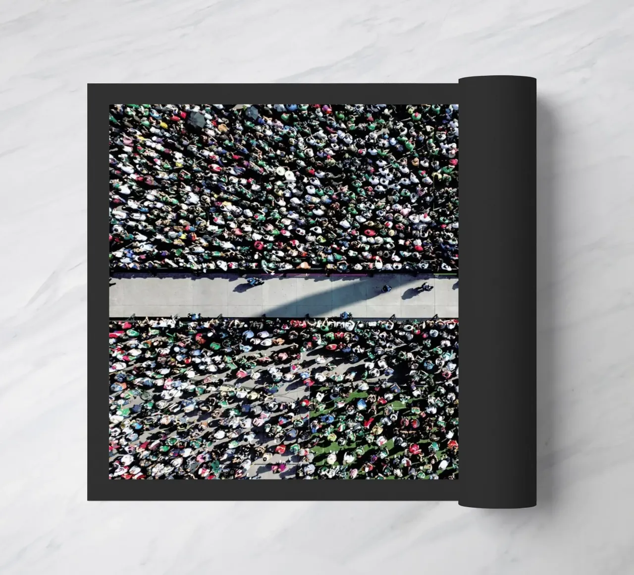 Looking Forward zerbino da ROBERTO H