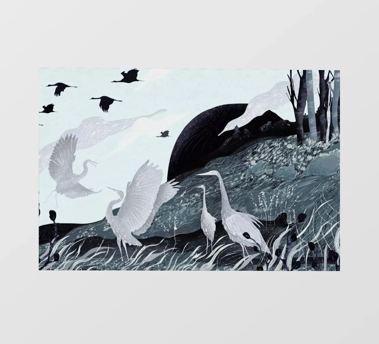 Winter pellicola backlit da Amalia Restrepo