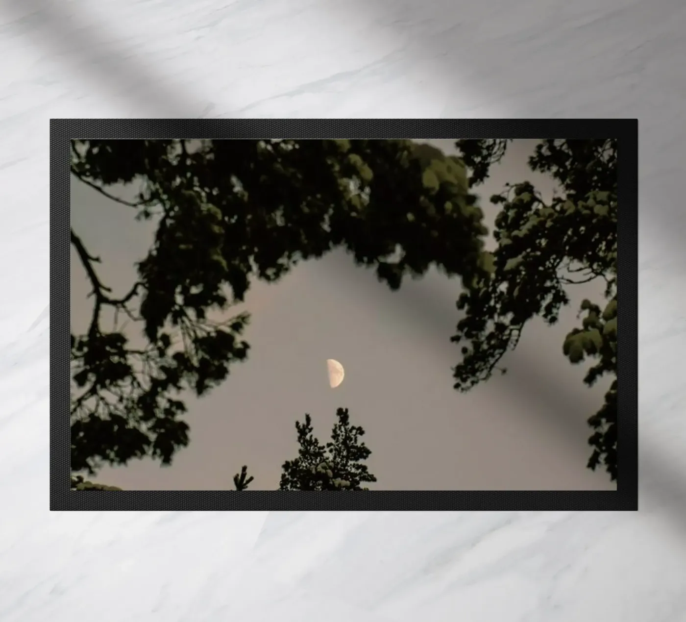 The Moon zerbino da Pale Grain