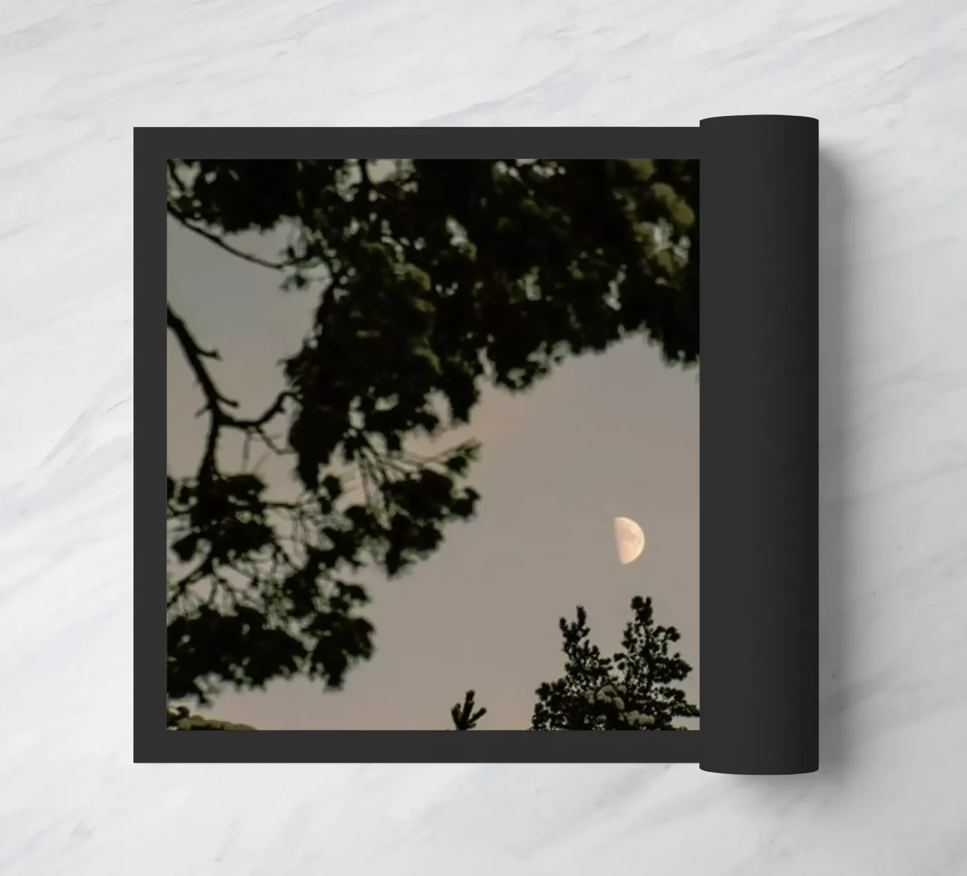 The Moon zerbino da Pale Grain