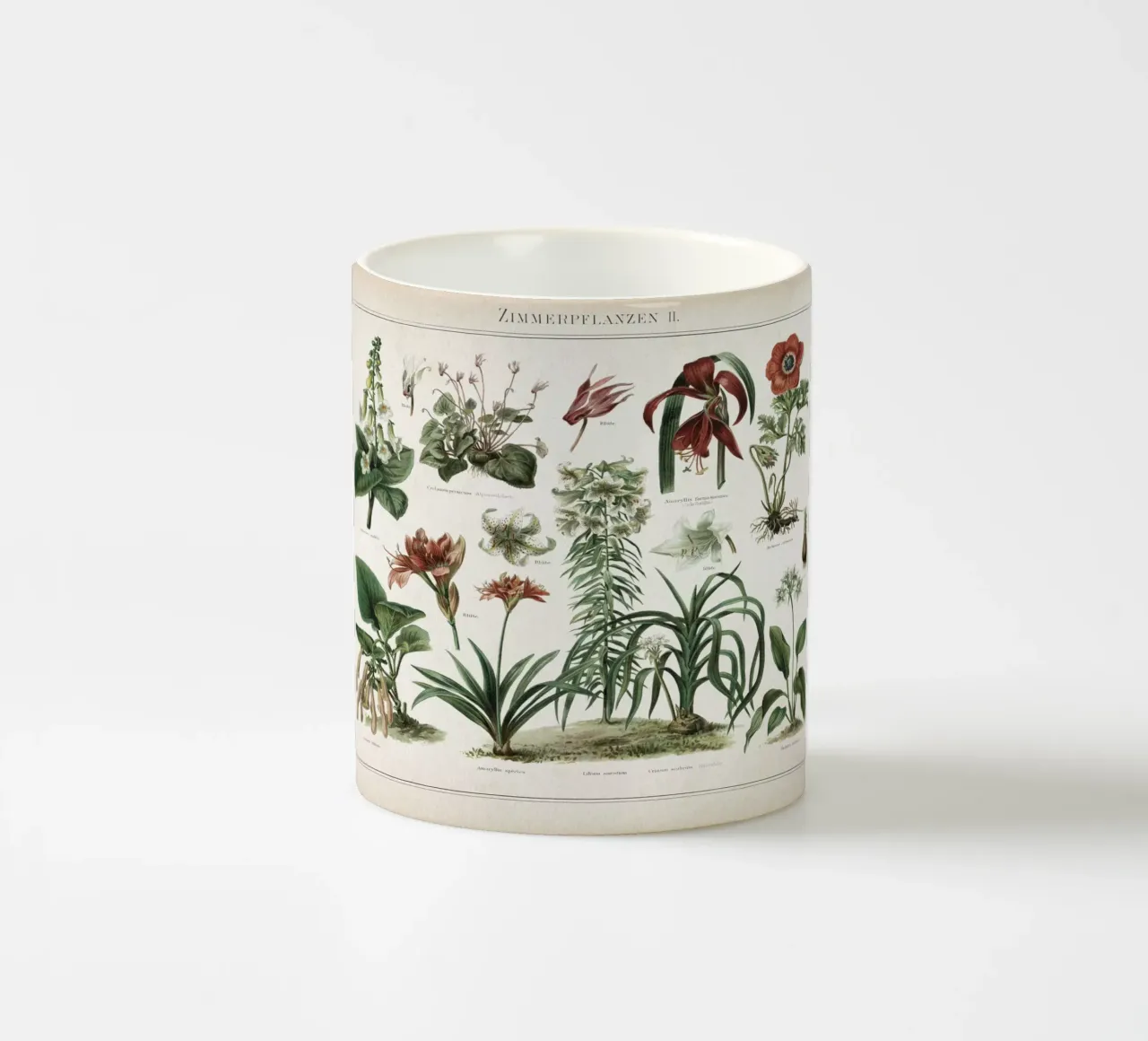 Vintage Meyers 2 Zimmerpflanzen 2 tazza in ceramica da Vintage Print Collection