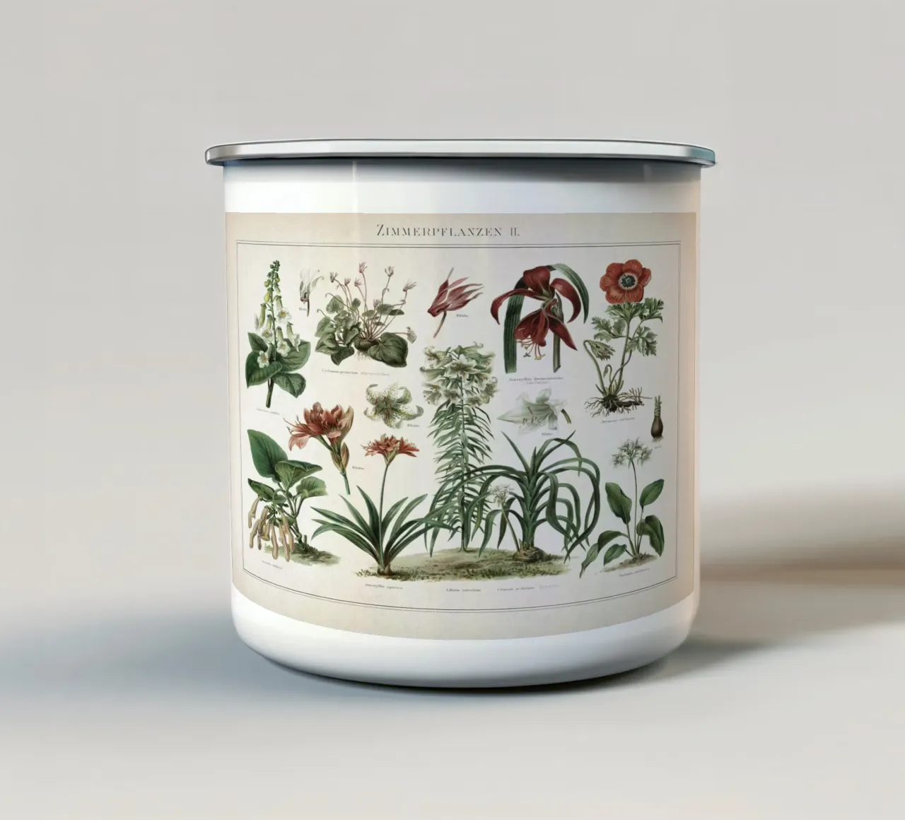 Vintage Meyers 2 Zimmerpflanzen 2 tazza in smalto da Vintage Print Collection