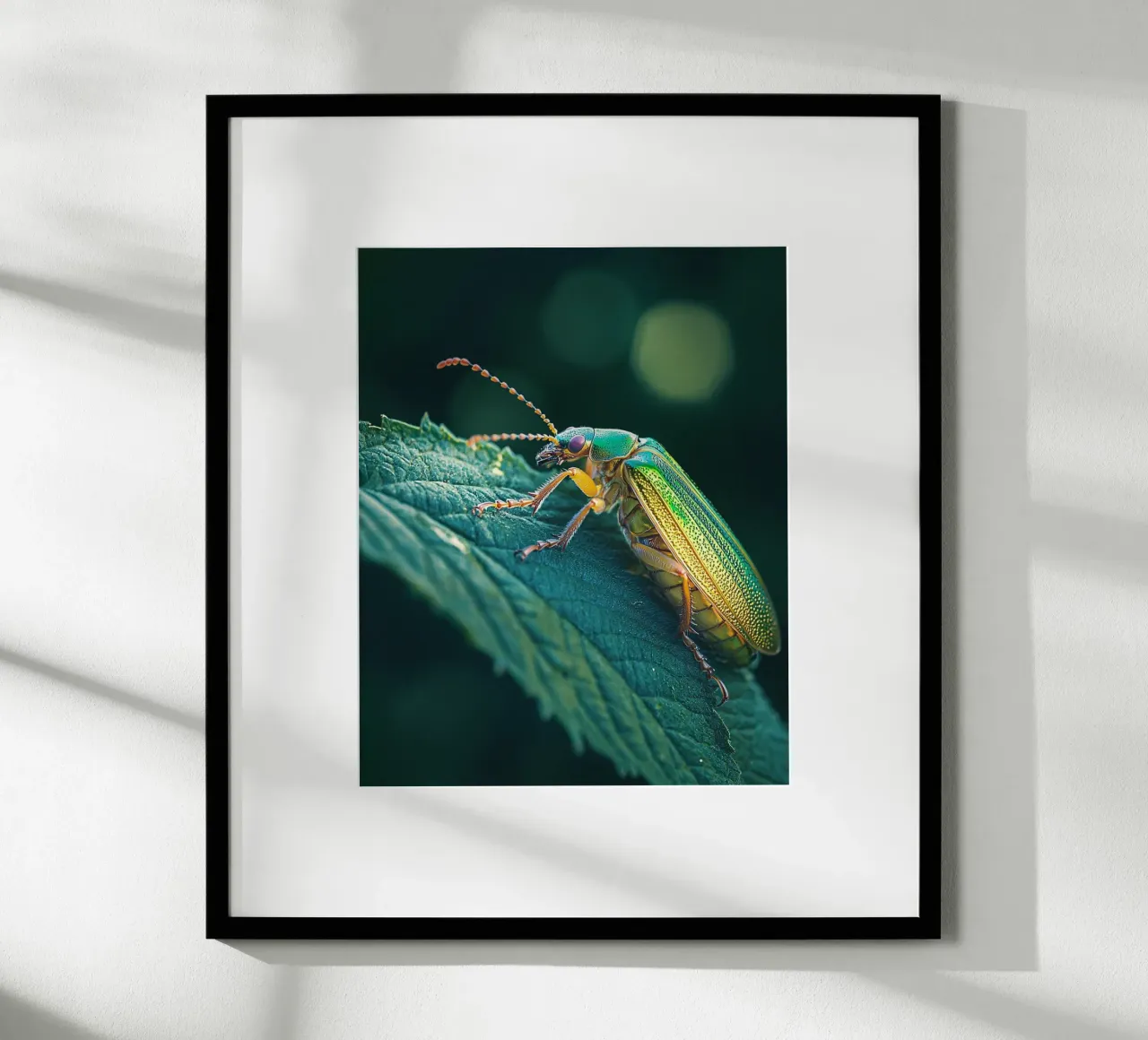 Macro Nature carta hahnemühle da PhotoVibe Decor