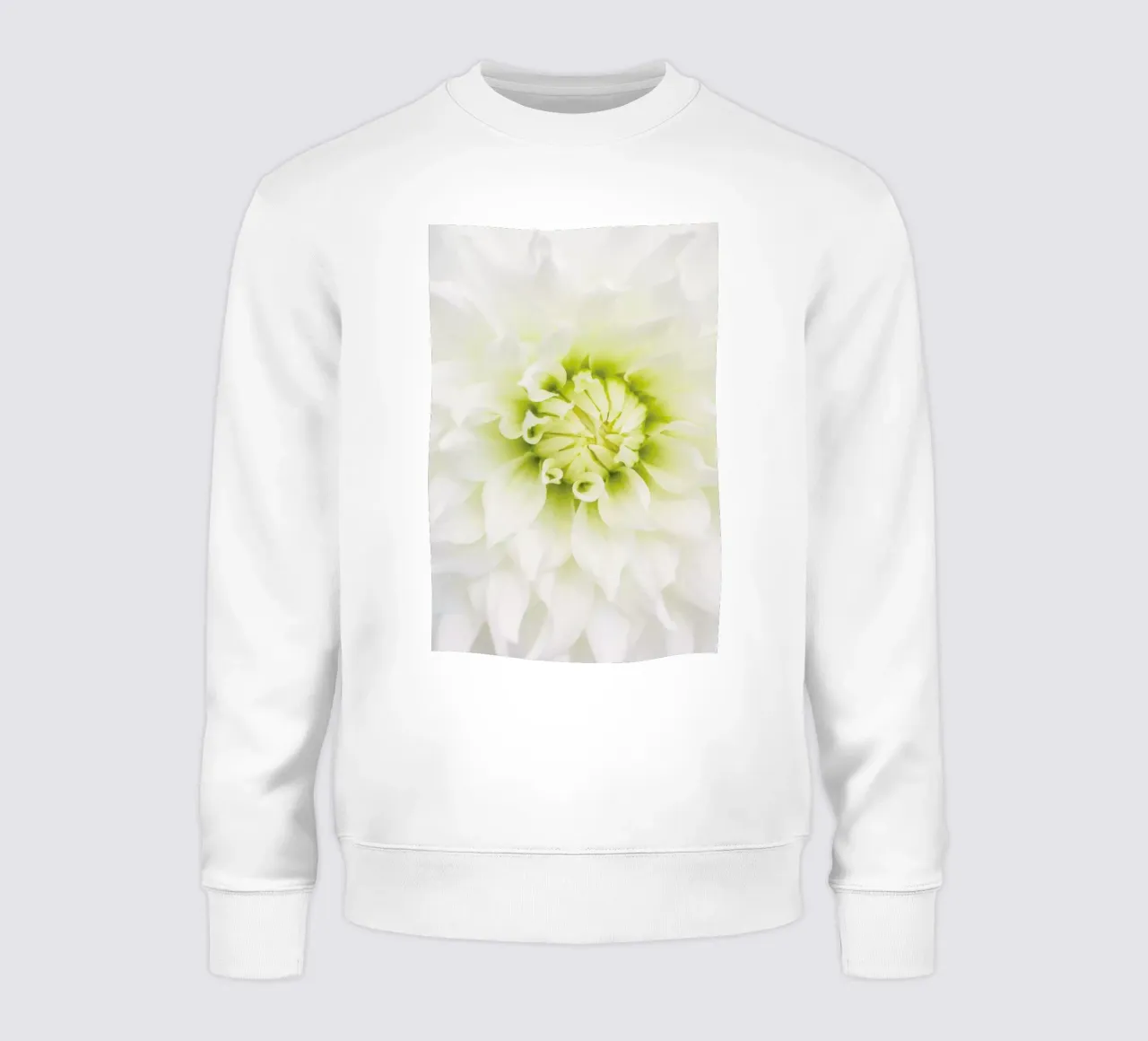 White Dahlia felpa da Curious Collections by Marielle Leenders