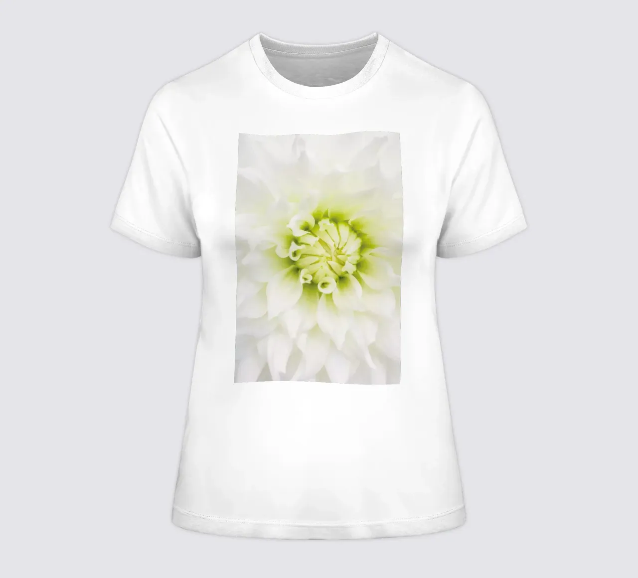 White Dahlia women's fitted t-shirt by Curious Collections by Marielle Leenders