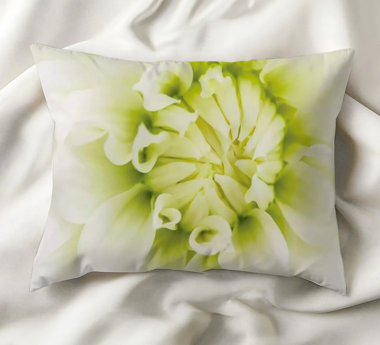 White Dahlia cuscino da Curious Collections by Marielle Leenders