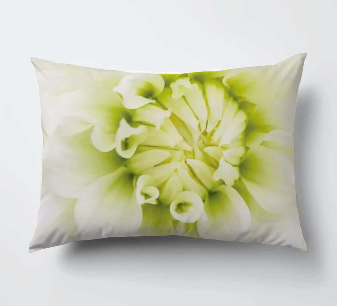 White Dahlia cuscino da Curious Collections by Marielle Leenders