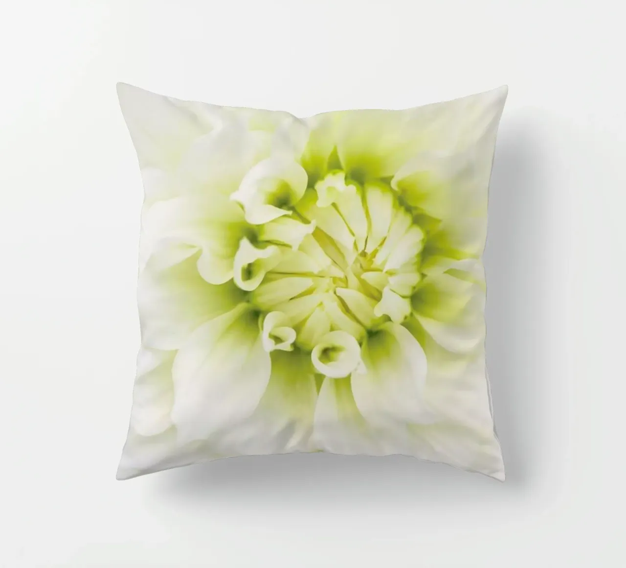 White Dahlia cuscino da Curious Collections by Marielle Leenders