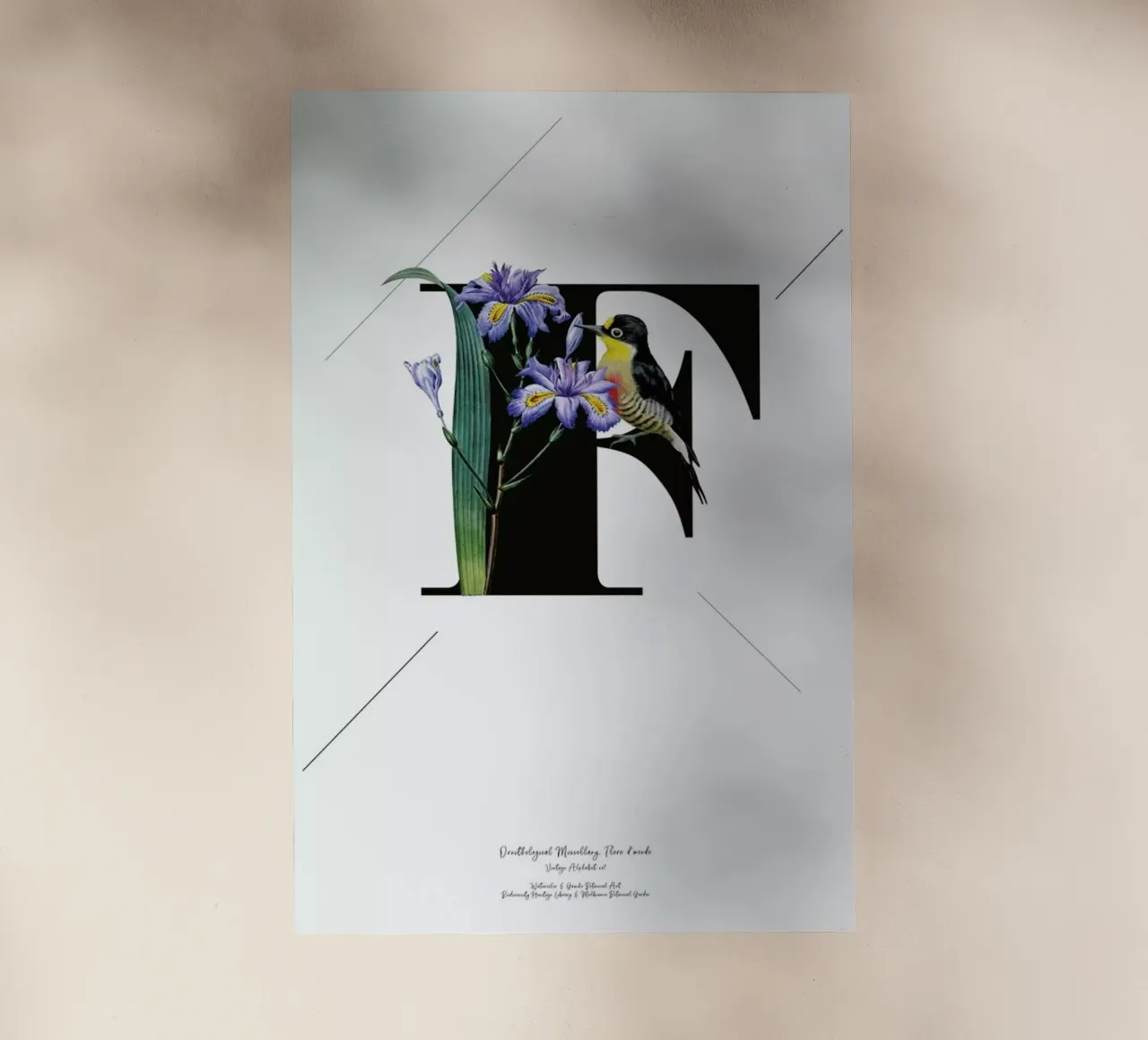 Botanical Alphabet - F pellicola backlit da Froilein Juno