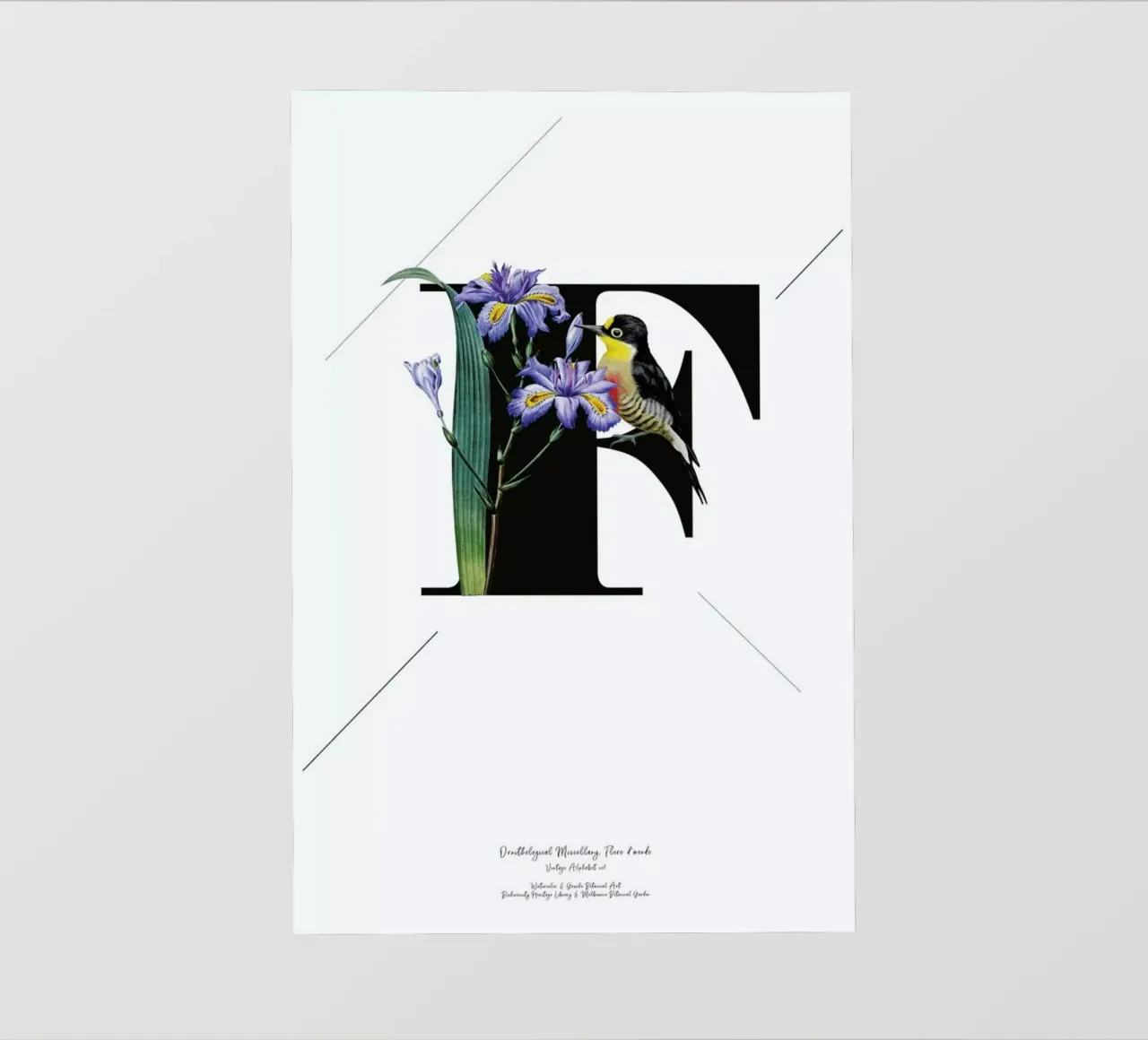 Botanical Alphabet - F pellicola backlit da Froilein Juno