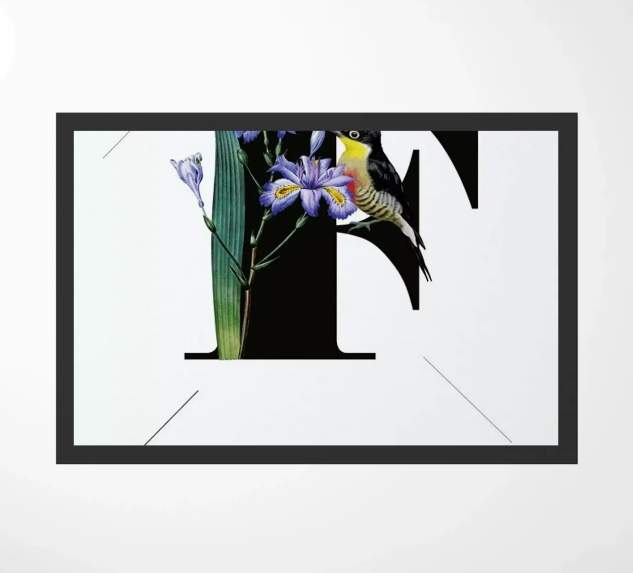 Botanical Alphabet - F zerbino da Froilein Juno