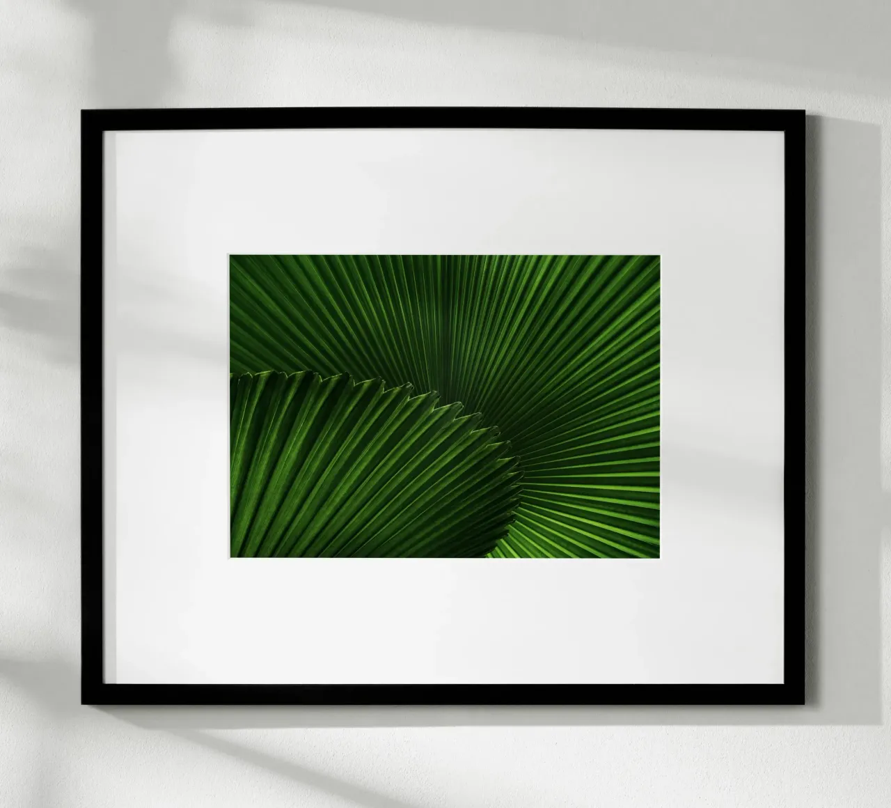 Verde lussureggiante poster da PhotoVibe Decor