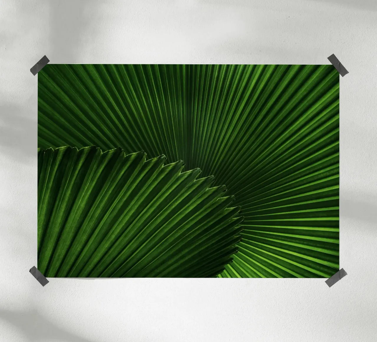 Verde lussureggiante poster da PhotoVibe Decor