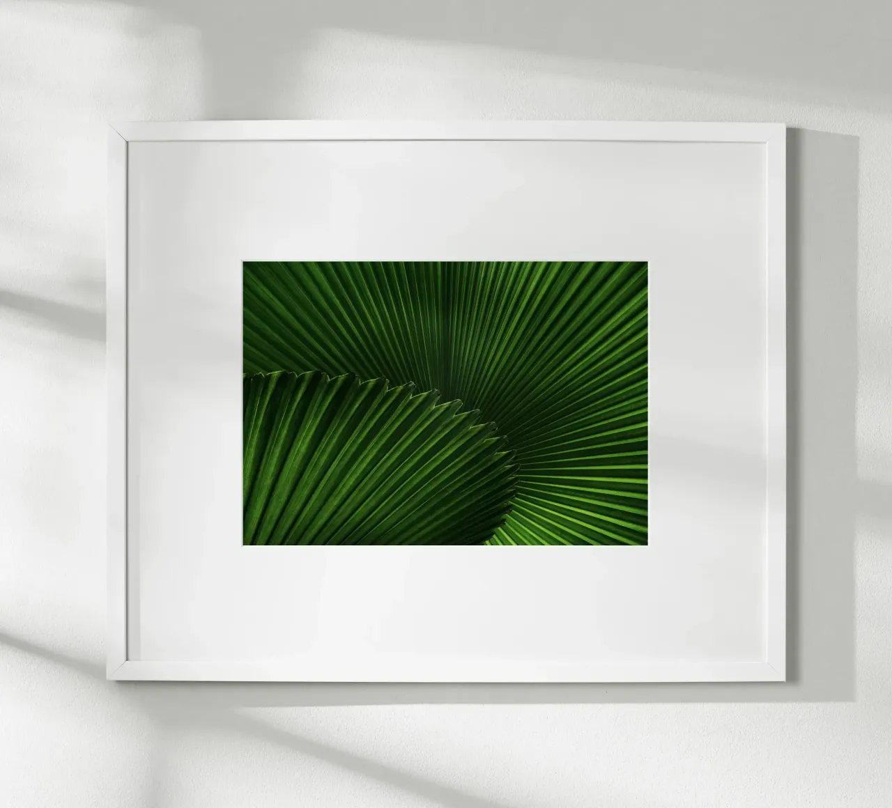 Verde lussureggiante poster da PhotoVibe Decor