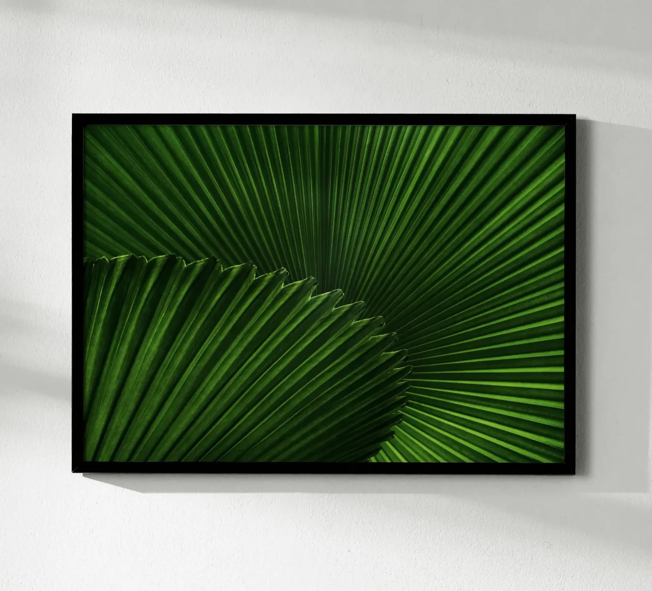 Verde lussureggiante poster da PhotoVibe Decor