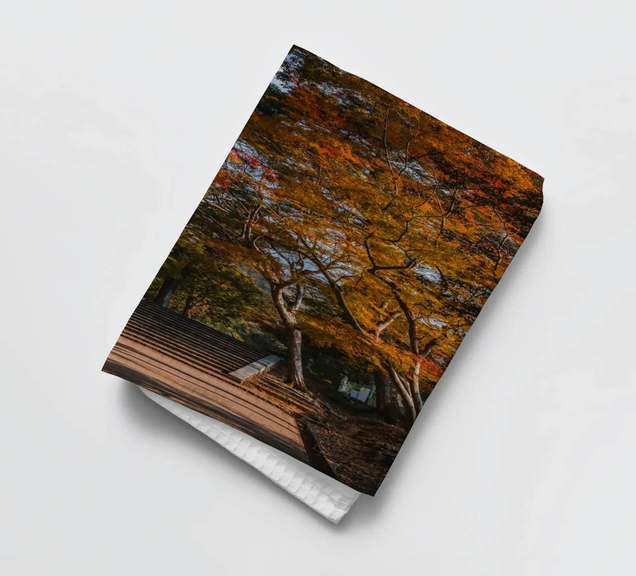 Il parco di Nara in autunno, Giappone canovaccio da cucina da Marcel Bisig