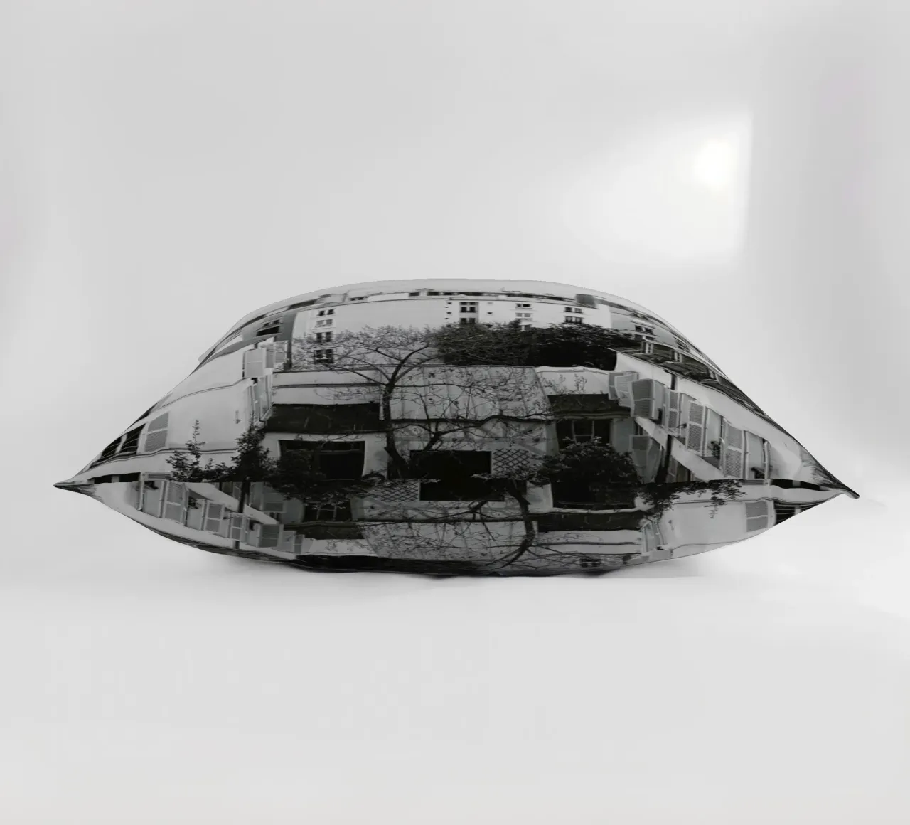 Paris BW cuscino da Florent Bodart