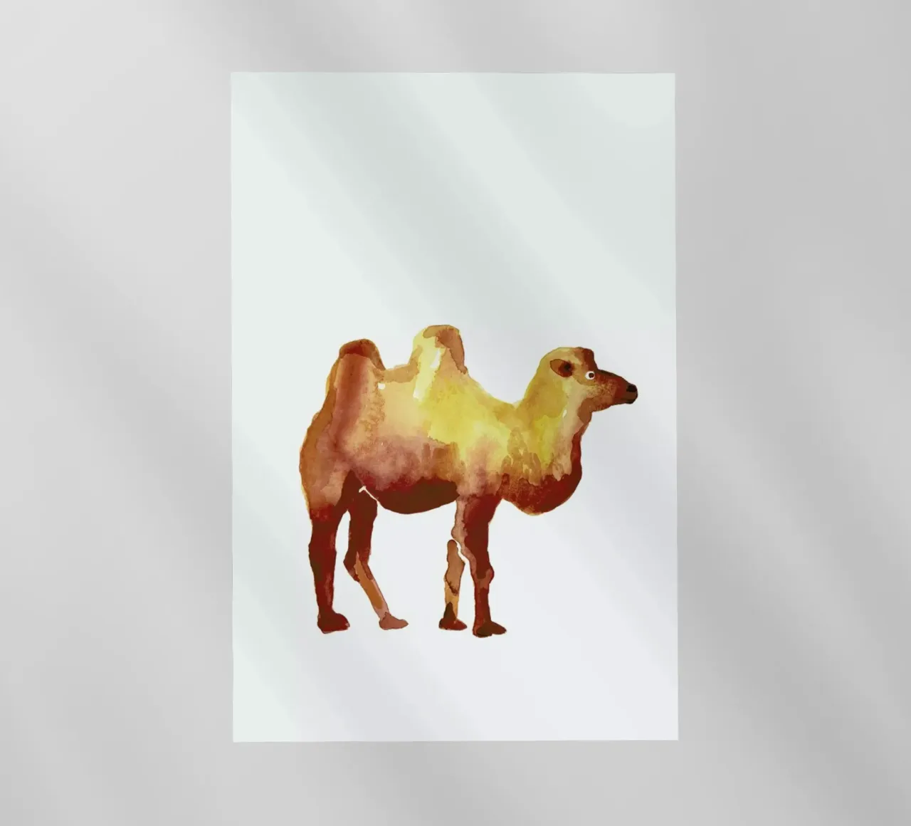 Camel pellicola backlit da Farina Kuklinski