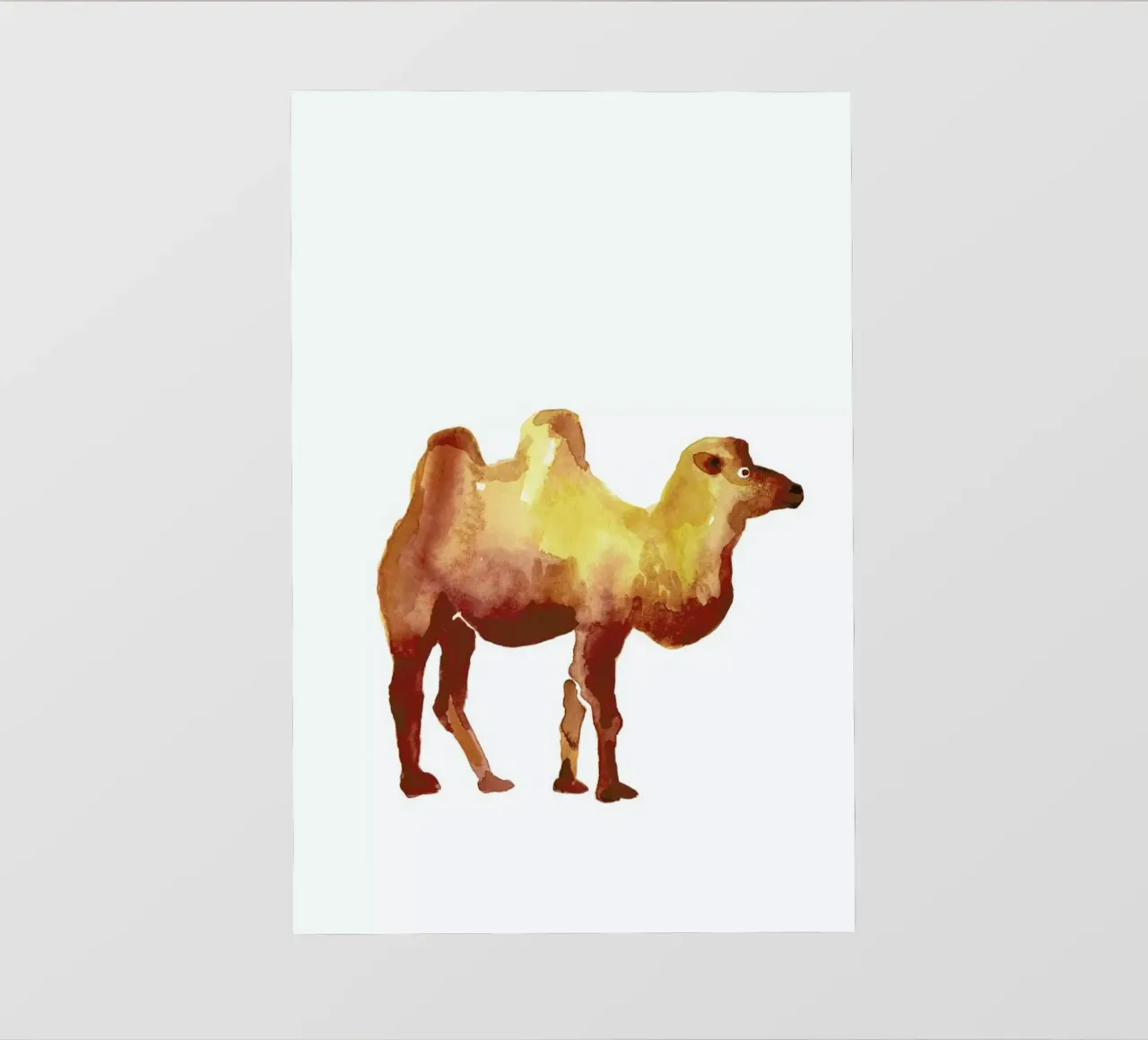 Camel pellicola backlit da Farina Kuklinski