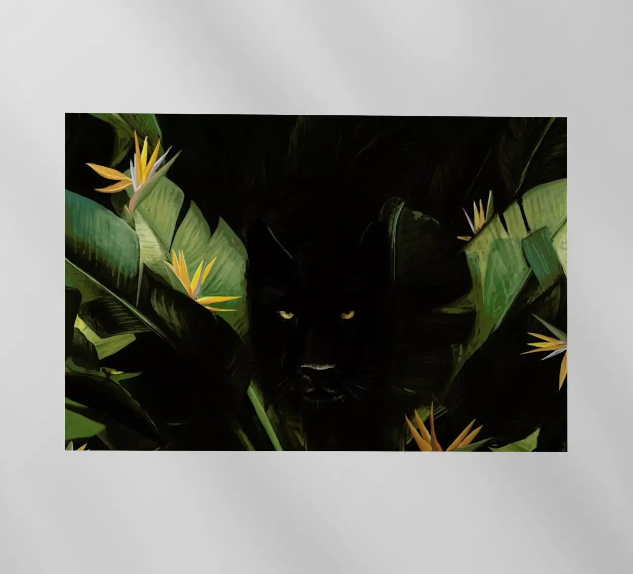 Panther pellicola backlit da Florent Bodart