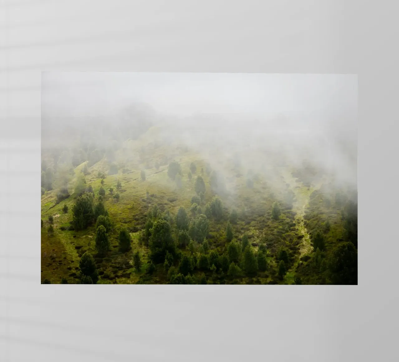 Sussurri di primavera, un nebbioso pendio di montagna pellicola backlit da karijn_landscapes