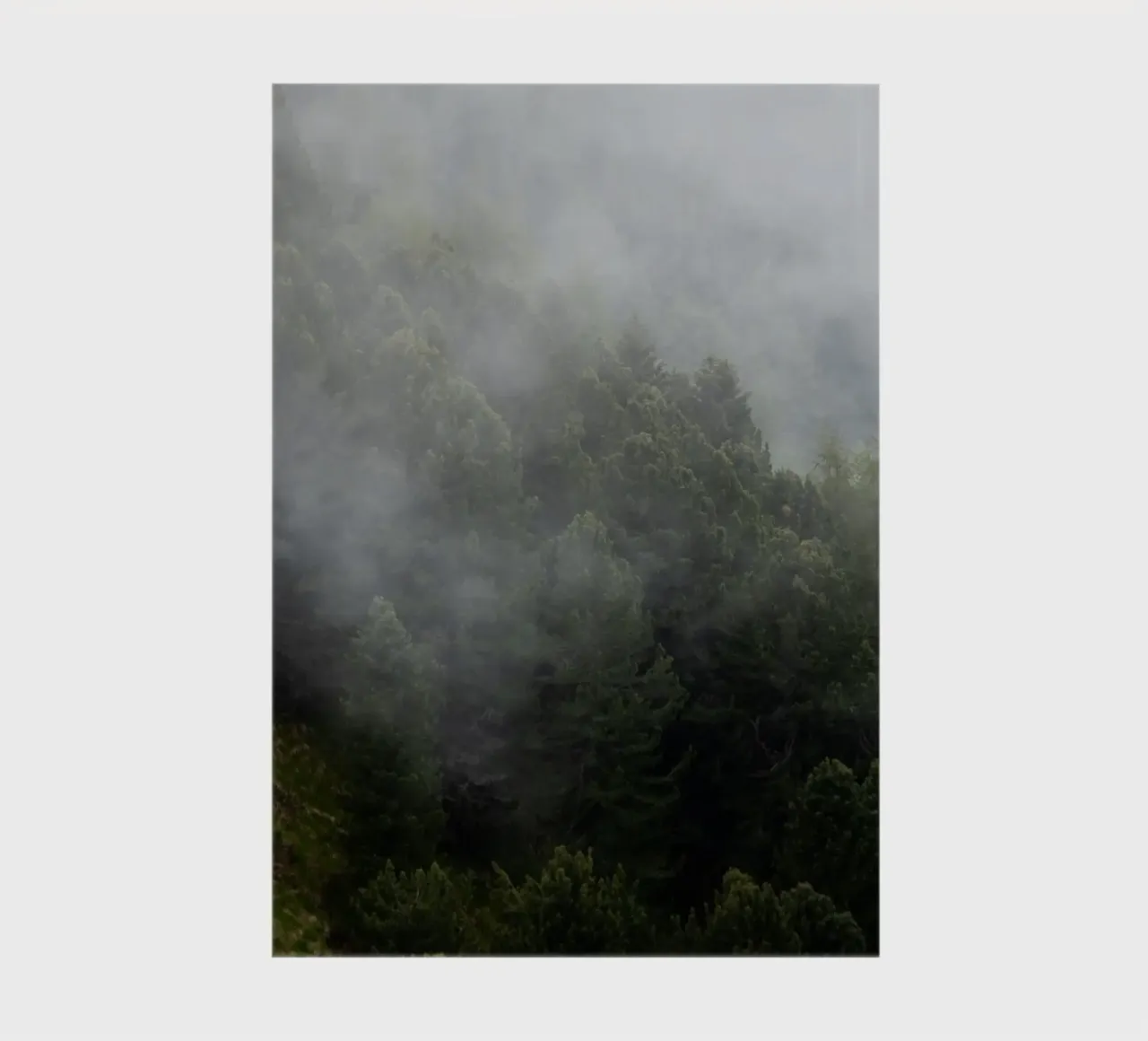 Mist and pines, a spring awakening notebook by karijn_landscapes
