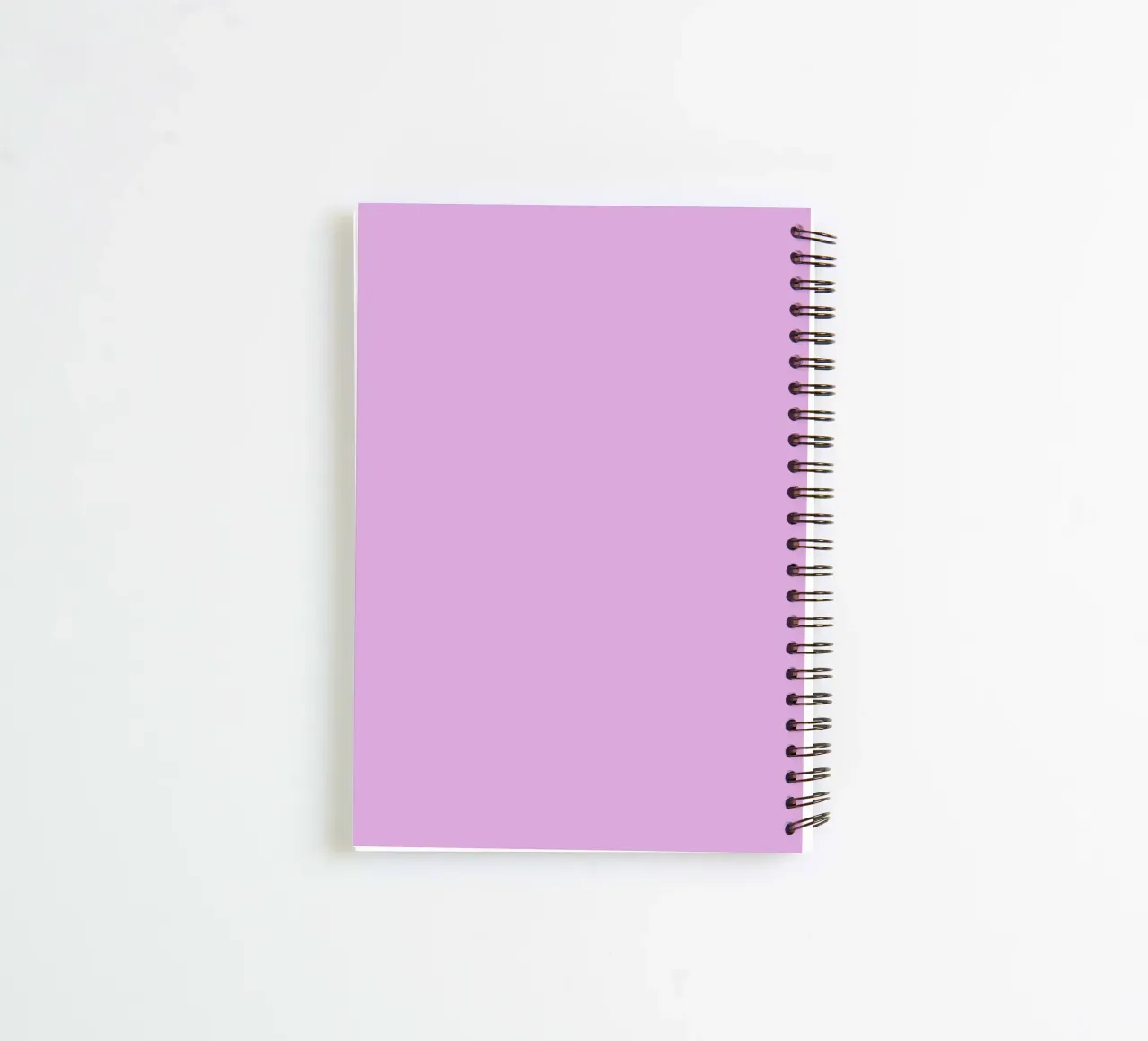 Succulente Pop Art diario ad anelli da Loobs