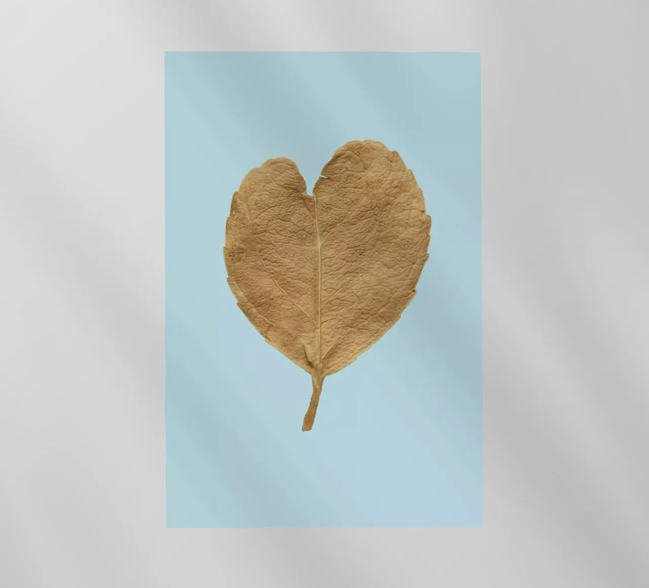 Heart XII pellicola backlit da Curious Collections by Marielle Leenders