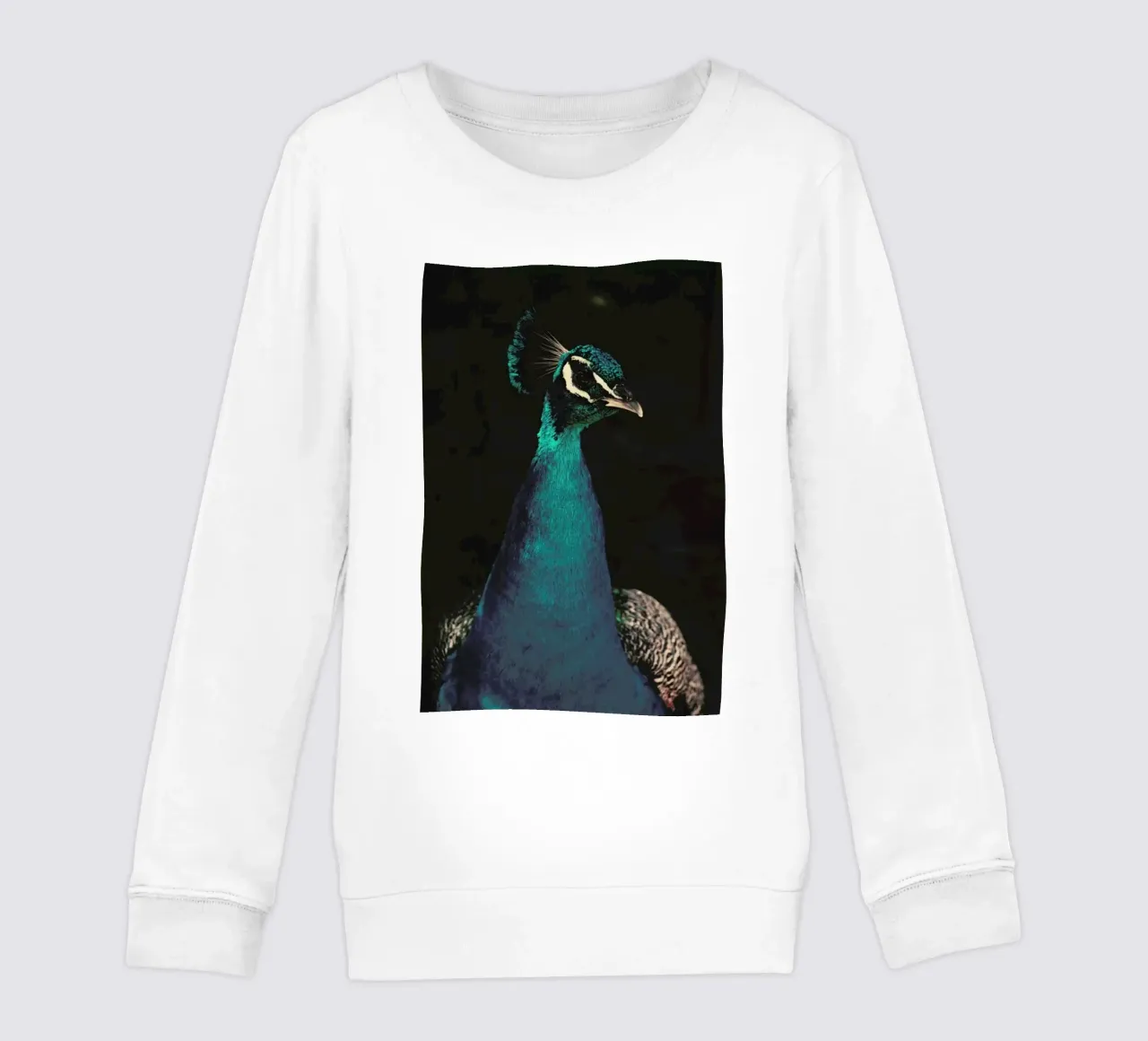 Peacock And Proud kids sweatshirt by Ingrid Beddoes