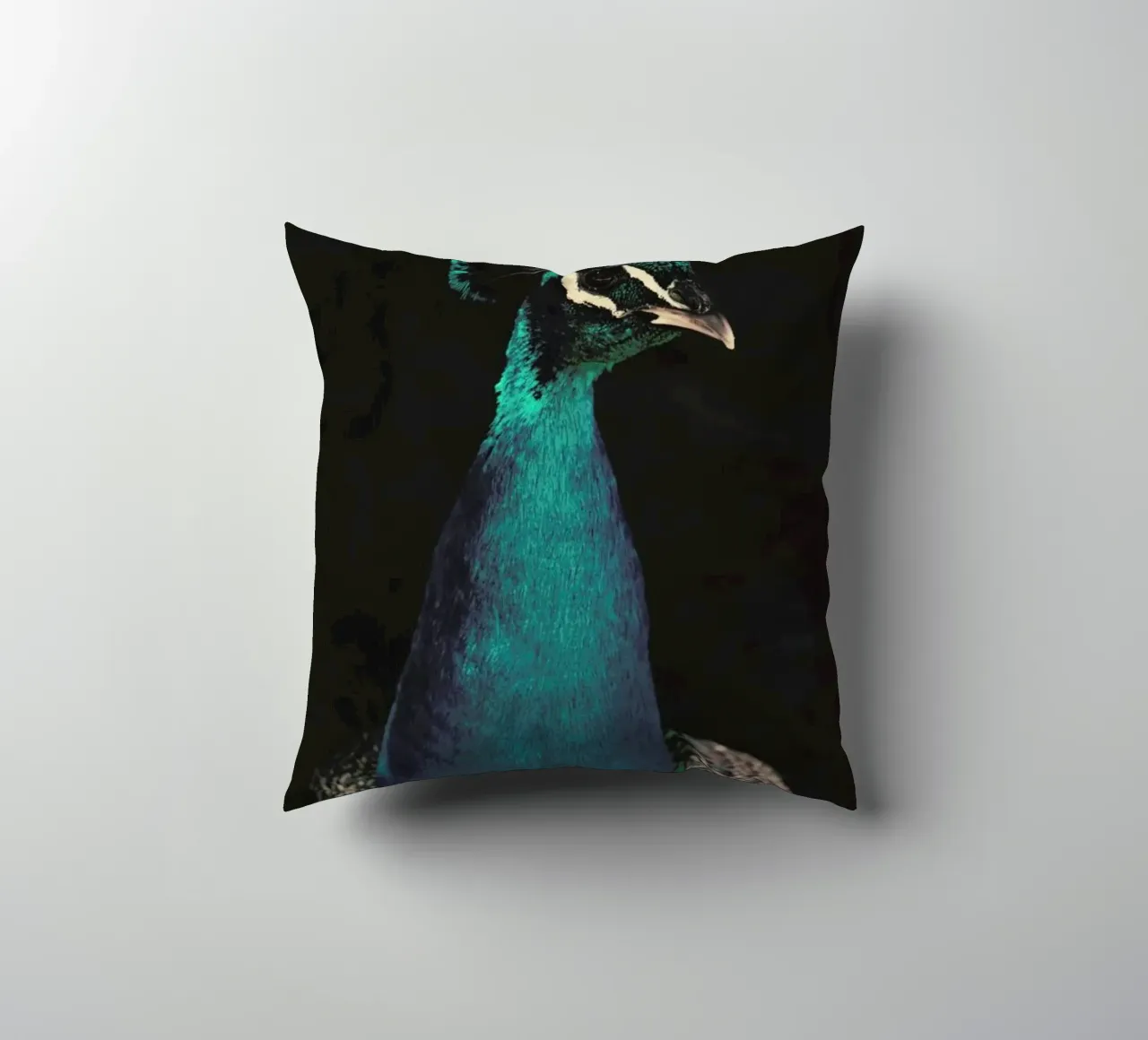 Peacock And Proud cuscino da Ingrid Beddoes