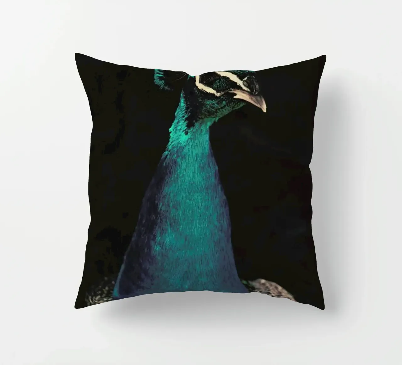 Peacock And Proud cuscino da Ingrid Beddoes