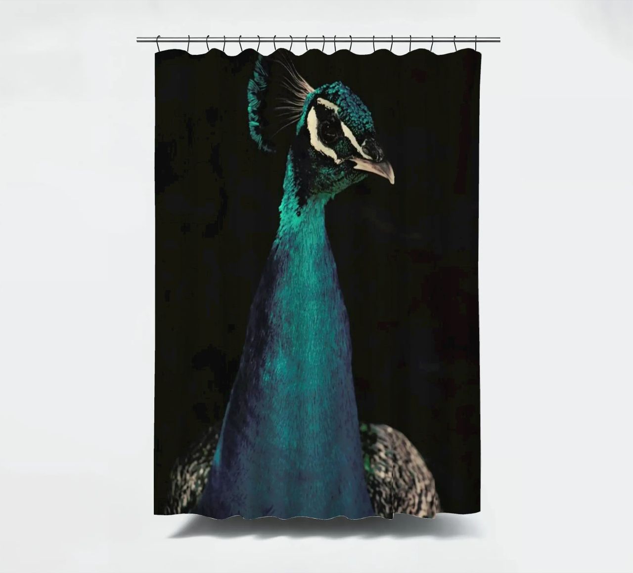 Peacock And Proud Duschvorhang von Ingrid Beddoes