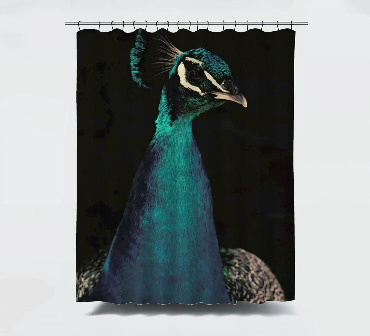 Peacock And Proud Duschvorhang von Ingrid Beddoes