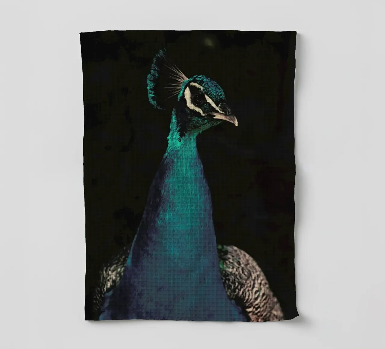 Peacock And Proud torchon de Ingrid Beddoes