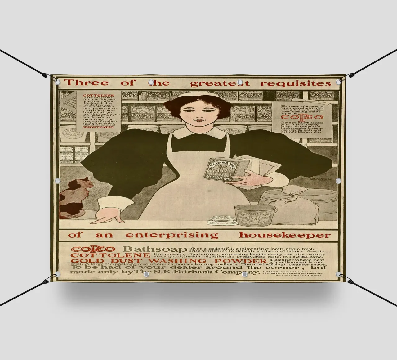 Poster d'epoca - Ritratto di una casalinga telo in pvc da Vintage Gems