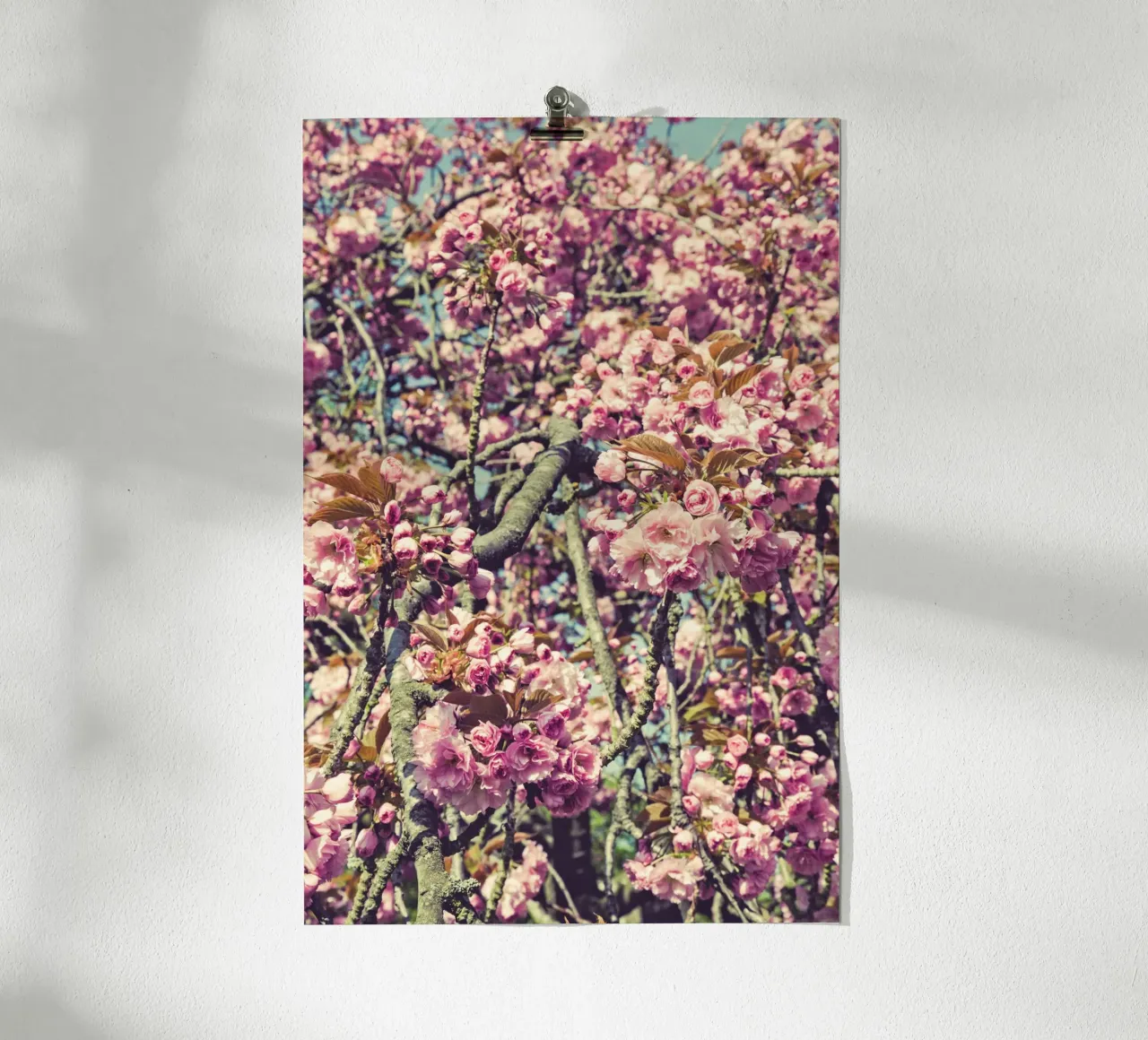 Sussurri di primavera poster da PhotoVibe Decor