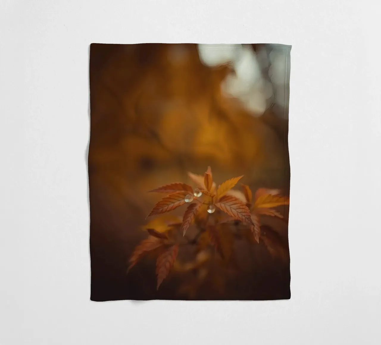 Le foglie autunnali scintillano con le gocce di pioggia in una foresta serena coperta in pile da DesignDoodle