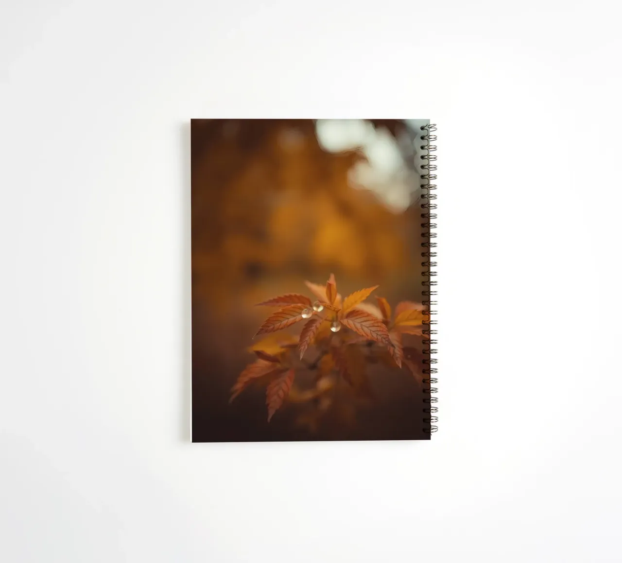 Les feuilles d'automne scintillent sous les gouttes de pluie dans une forêt sereine carnet à spirale de DesignDoodle