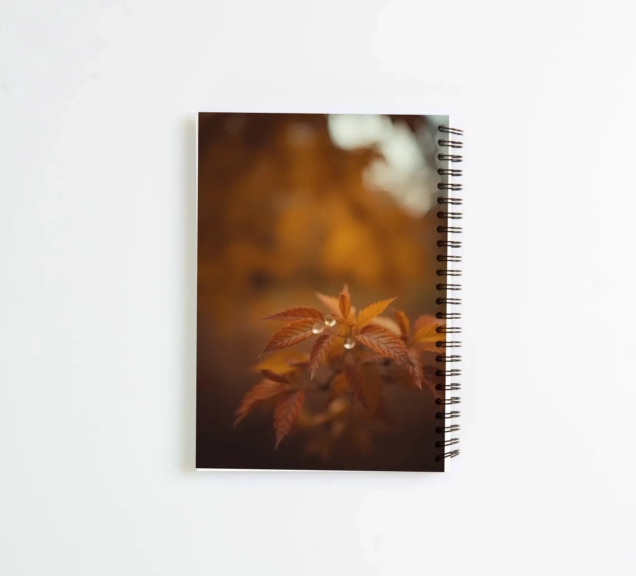 Les feuilles d'automne scintillent sous les gouttes de pluie dans une forêt sereine carnet à spirale de DesignDoodle
