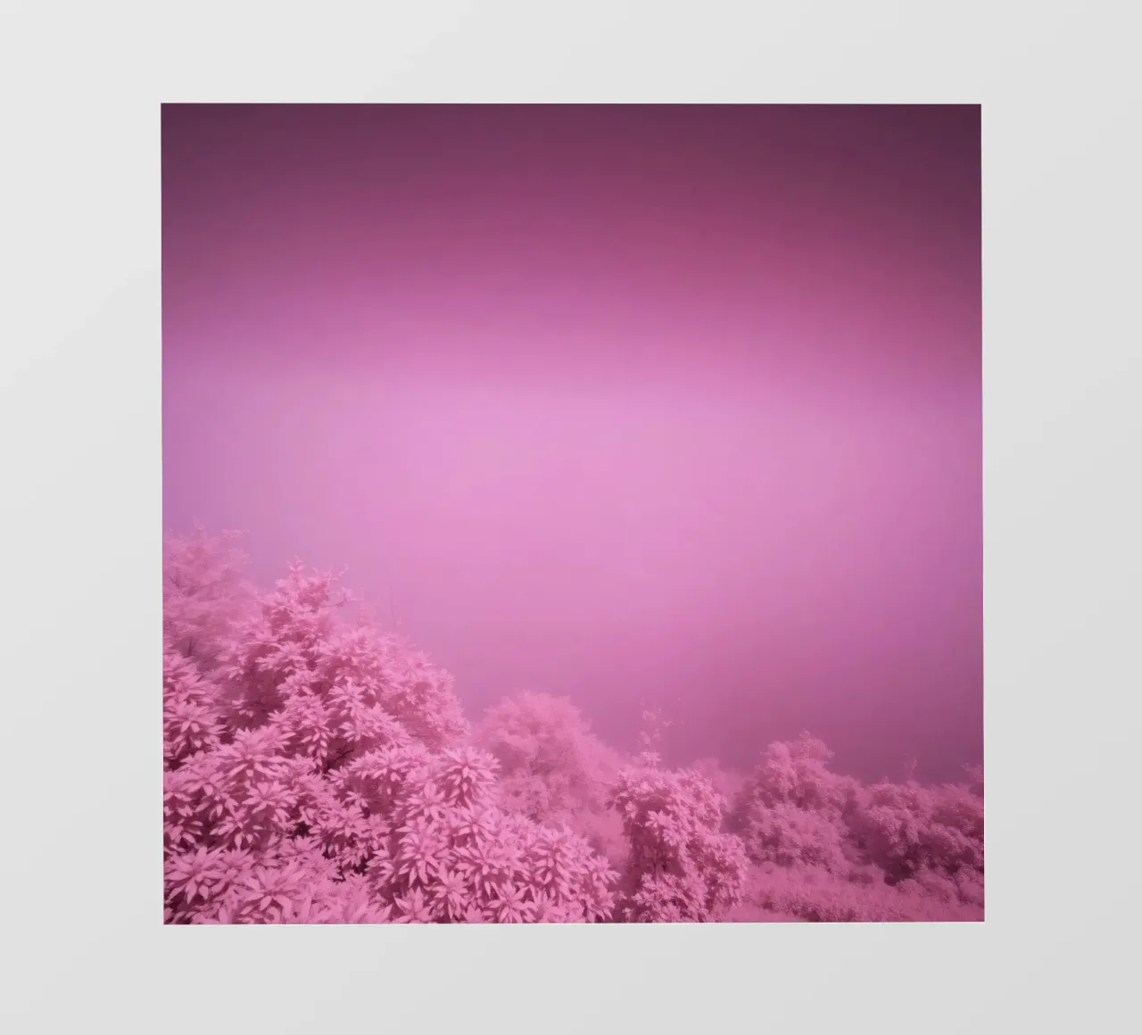 rosafarbene Landschaft mit üppigem Laub bei gedämpftem Licht Fototapete von DesignDoodle
