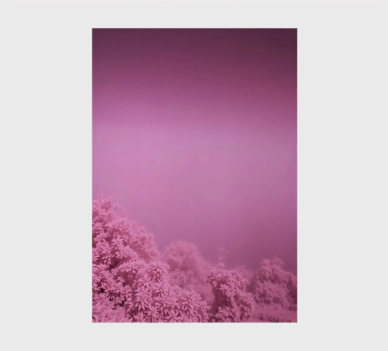 pink landscape showcasing lush foliage under muted lighting notebook by DesignDoodle