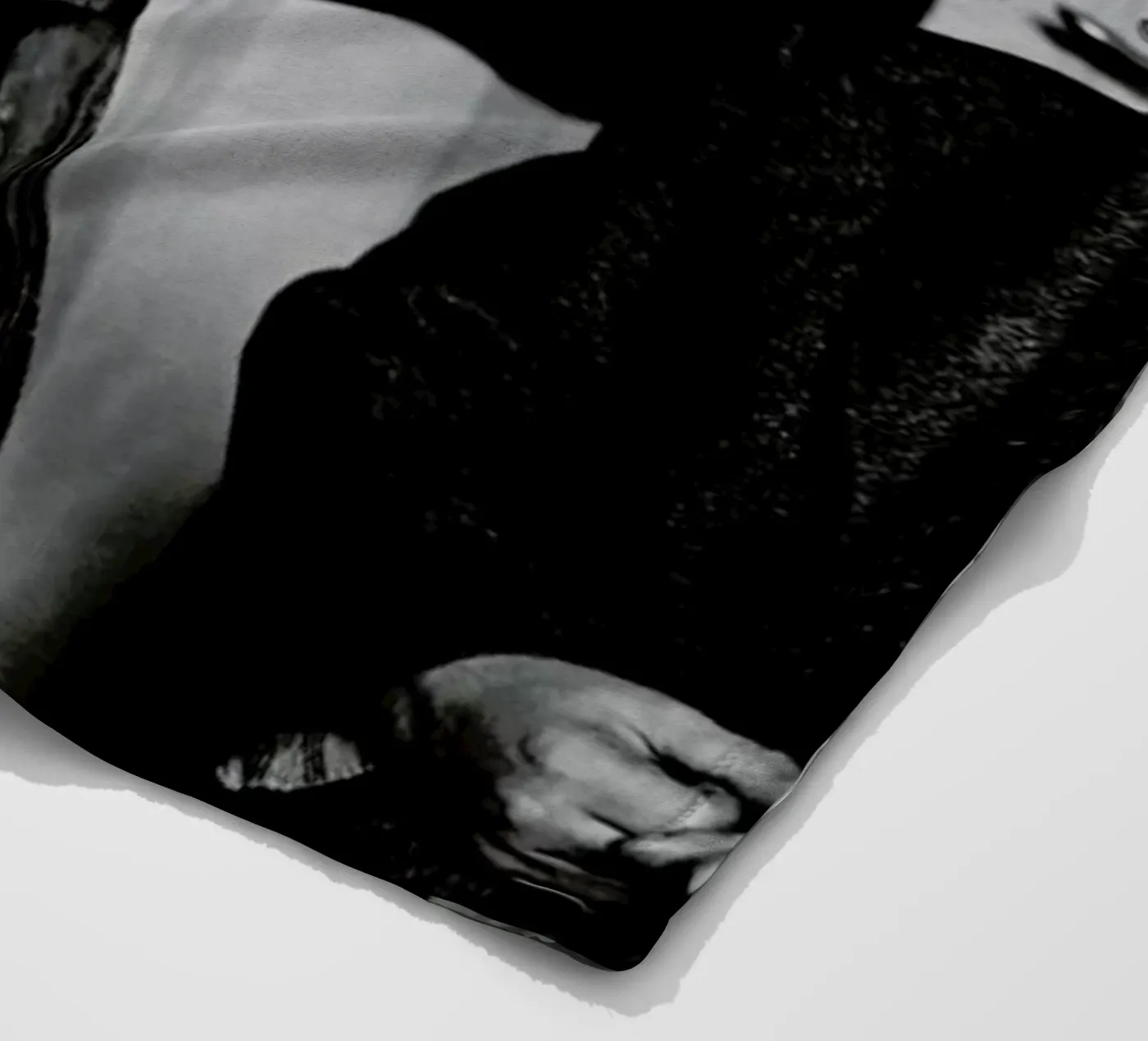 Albert Einstein Portrait Fleecedecke von Gallery Print and Art Limited