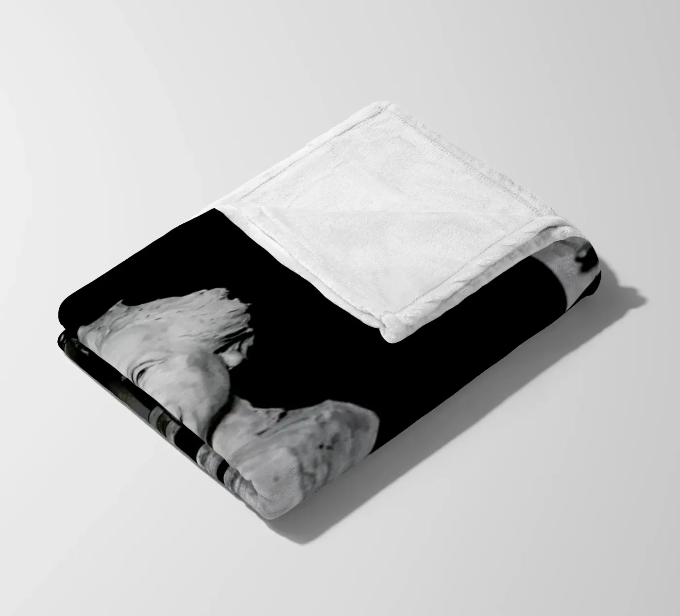 Albert Einstein Portrait Fleecedecke von Gallery Print and Art Limited