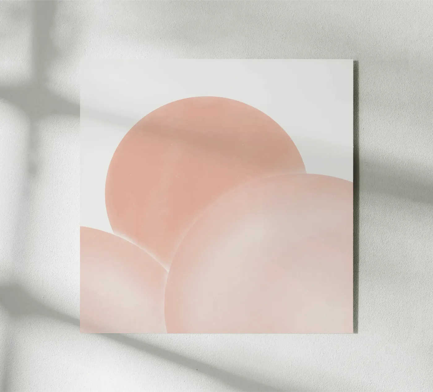 I rosa si sovrappongono plexiglass da Little Dean