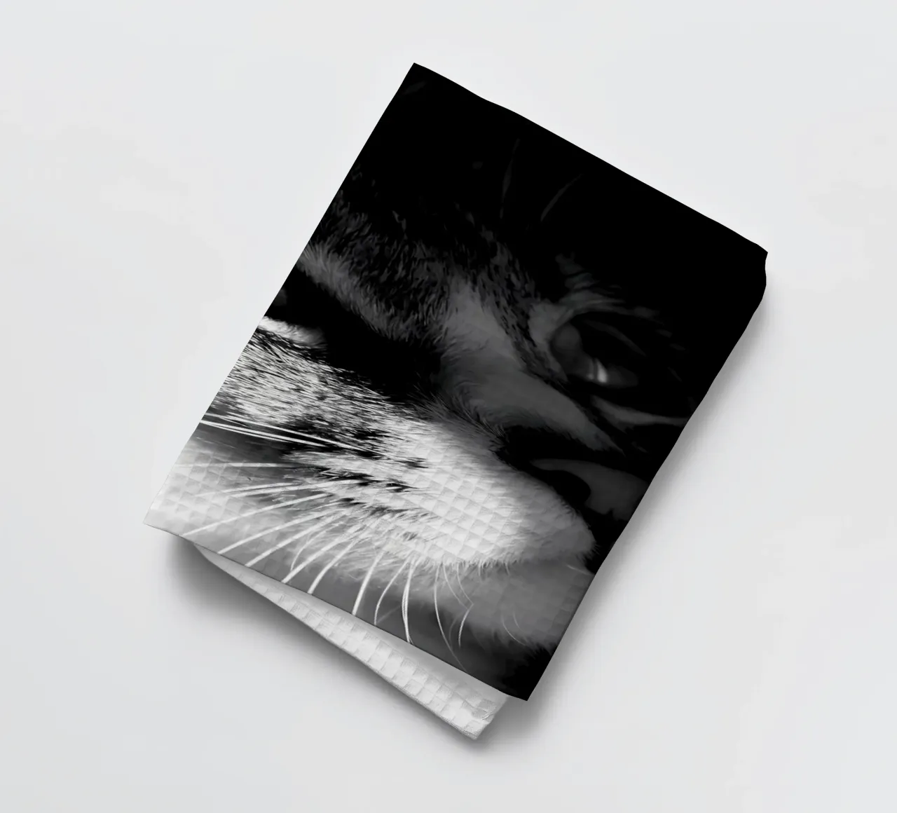 Animal poster 2 tea towel by Korrie Lane