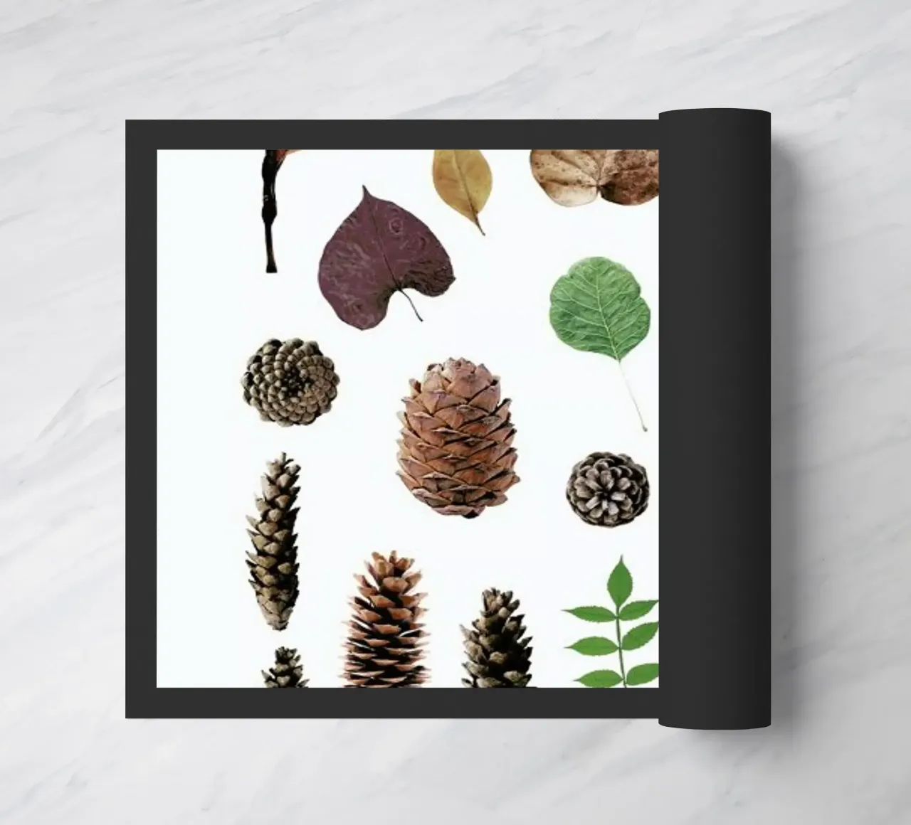 Bits of Winter zerbino da Miles of Light