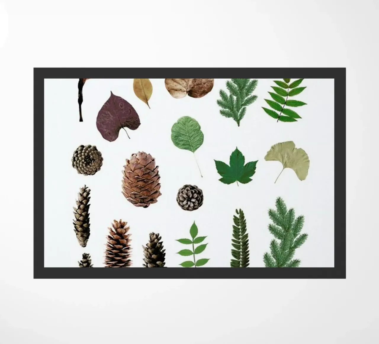 Bits of Winter zerbino da Miles of Light