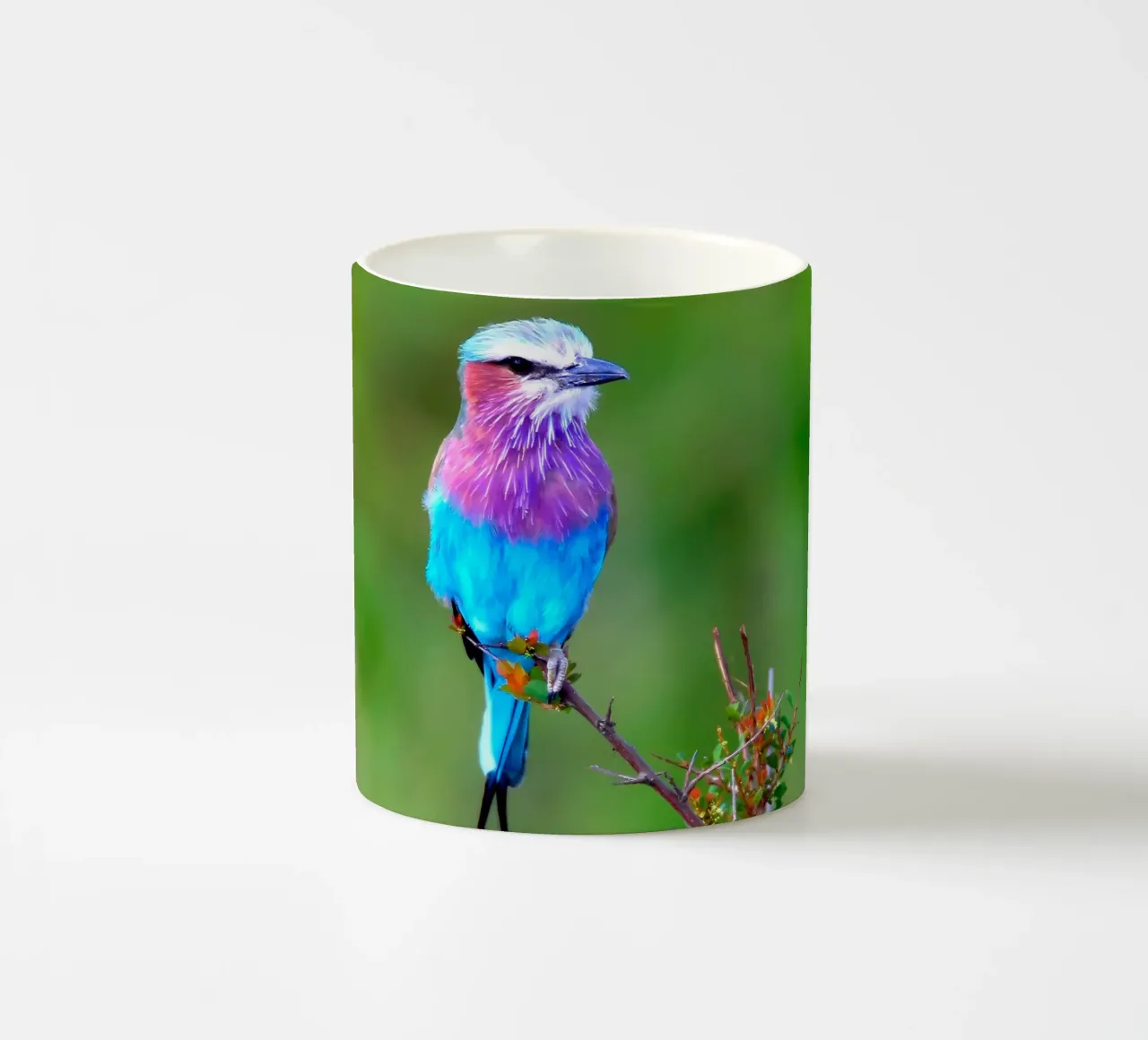 Poster animali 10 tazza in ceramica da Korrie Lane